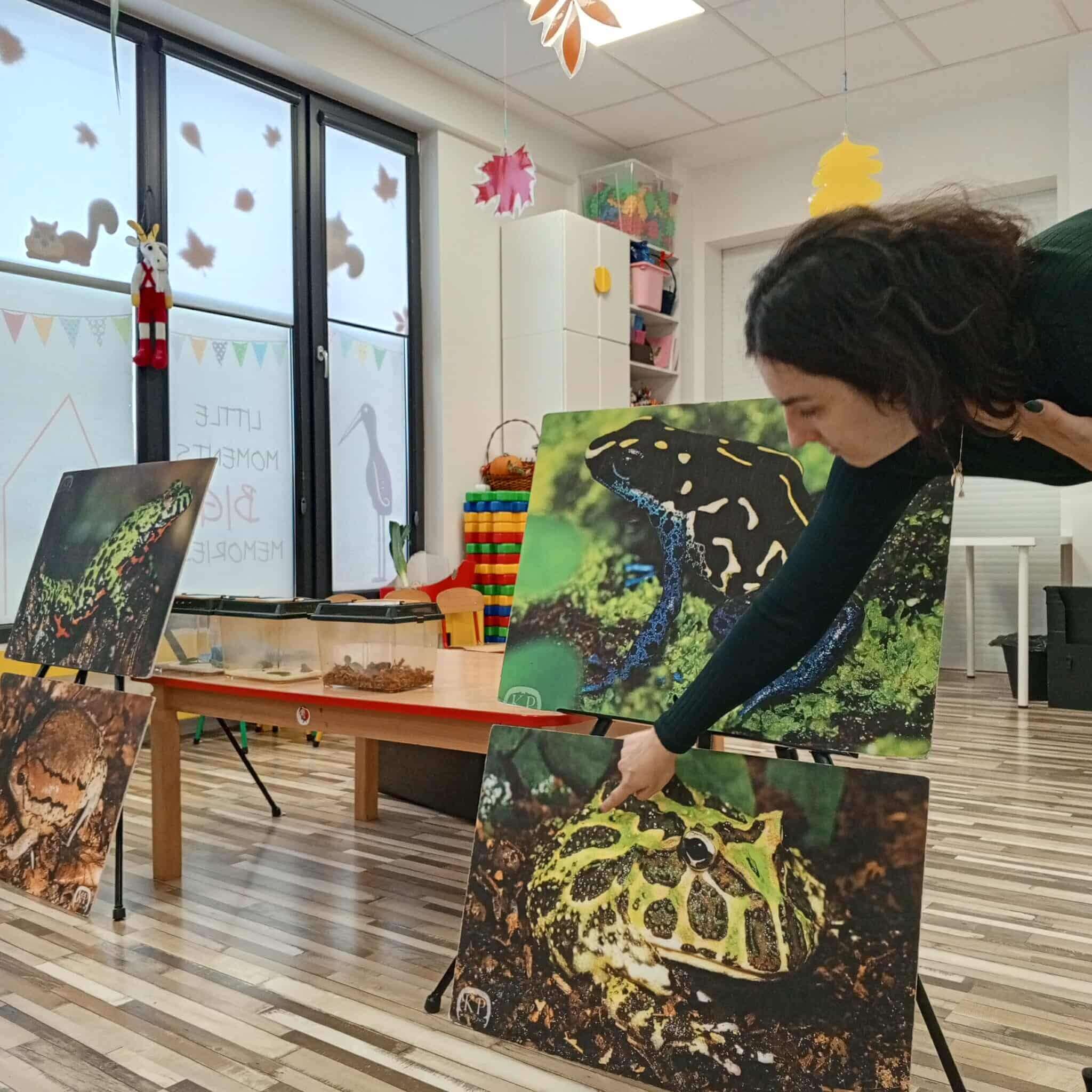 Zdjęcie 8 z galerii